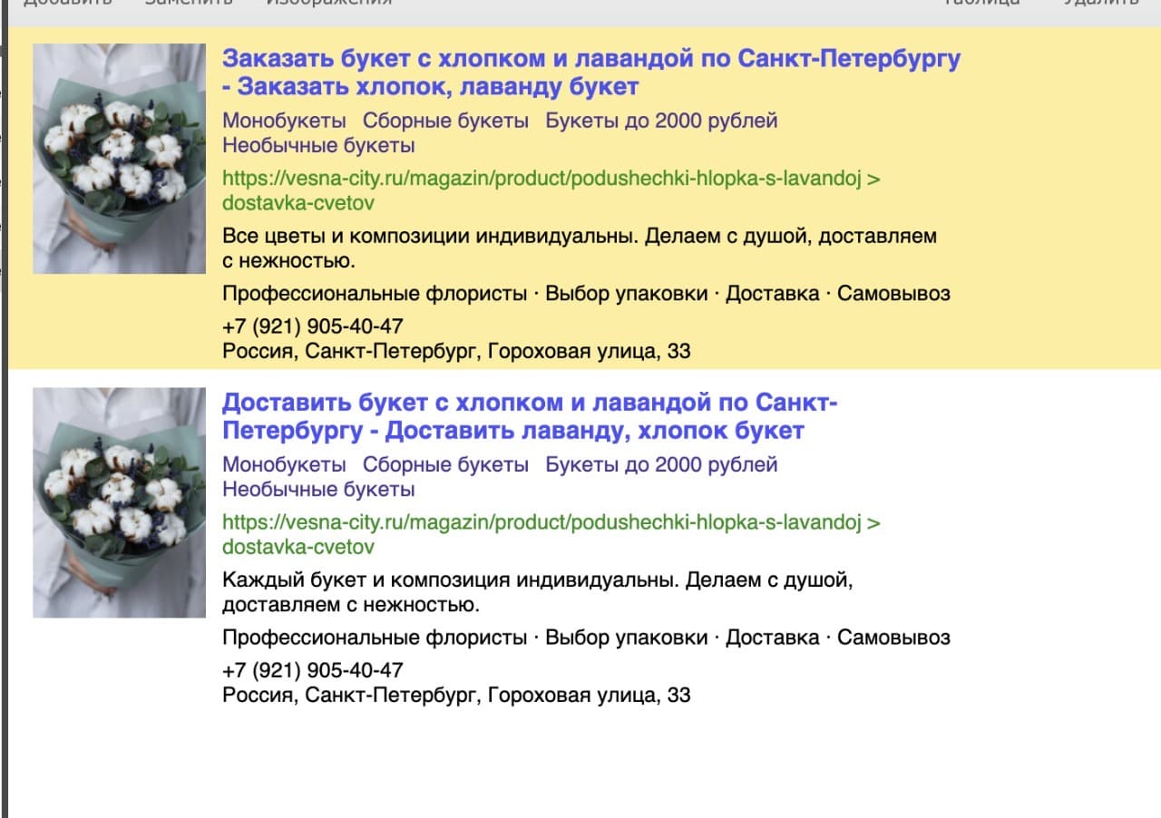 Sample ad copy and announcement examples from Vesna campaign