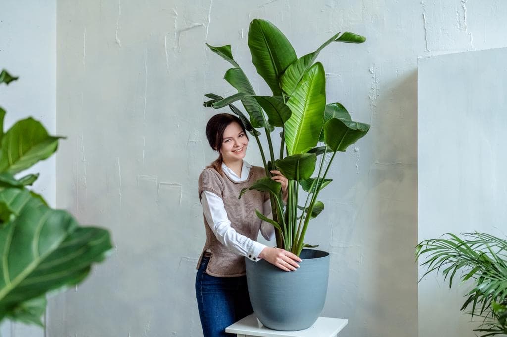 Event floristry service creative for Vesna advertising